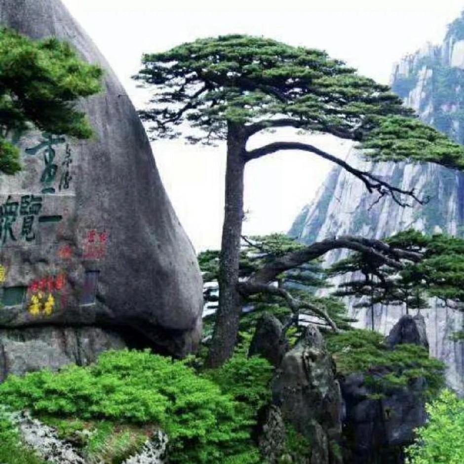 你是我的幸运儿 