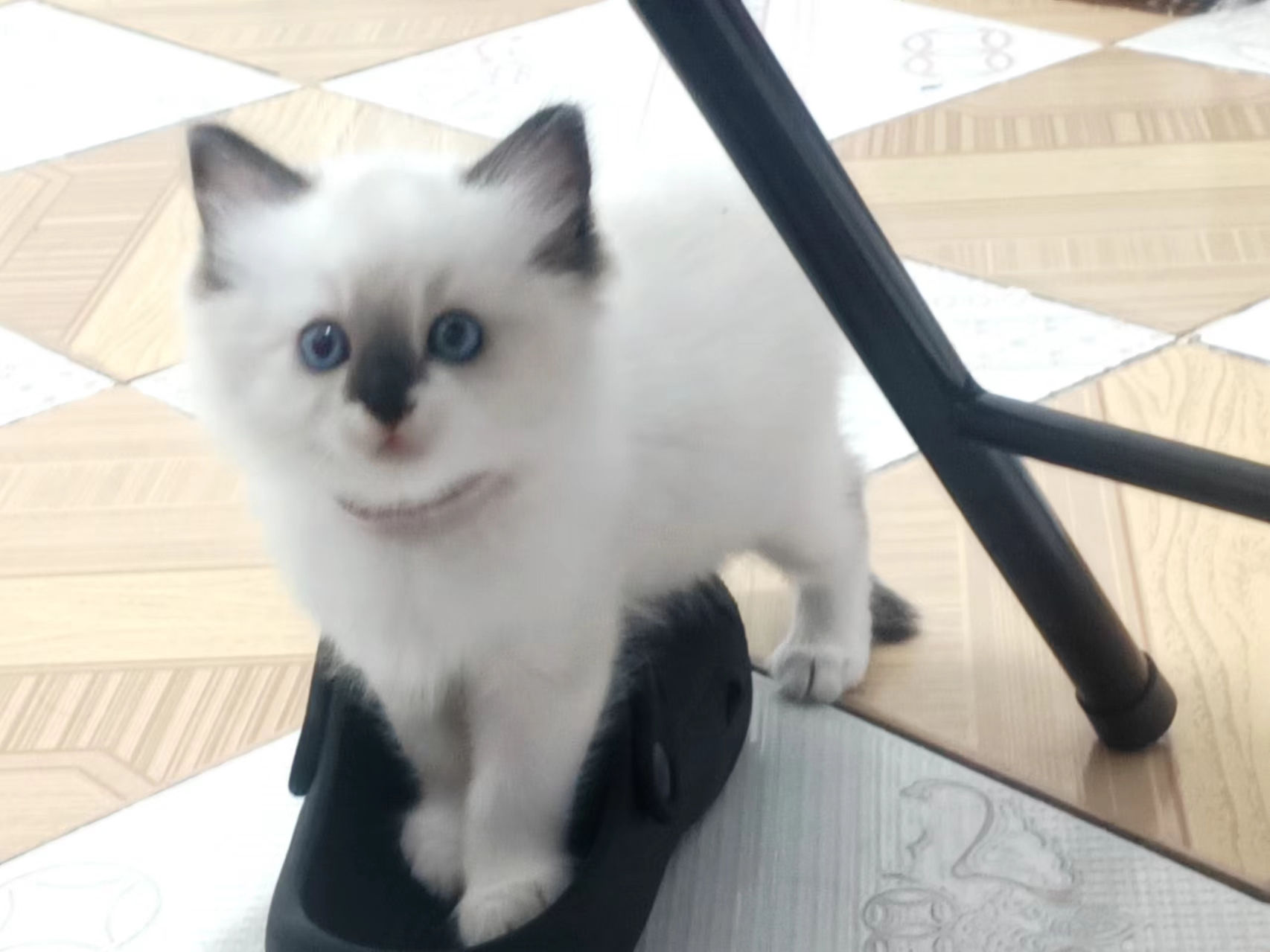 展示图片