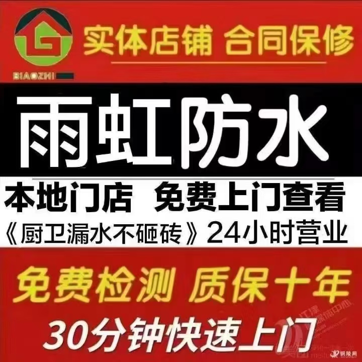 展示图片