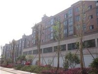 滨河星城