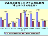 望江县2024年1-8月份房地产市场分析