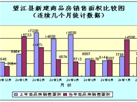 望江县2024年1-10月份房地产市场分析