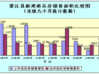 望江县2024年1-12月份房地产市场分析