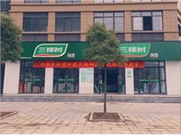 三棵树望江营销中心