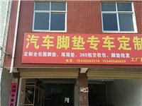 星派汽车脚垫