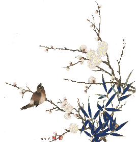 飞鸟3.png